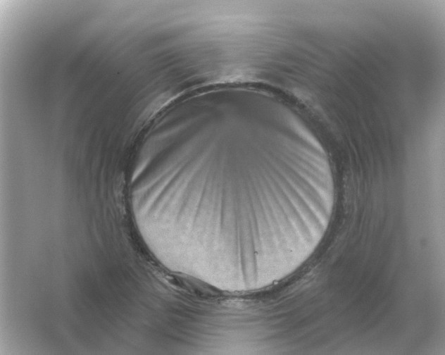 X0000065991265200603241956