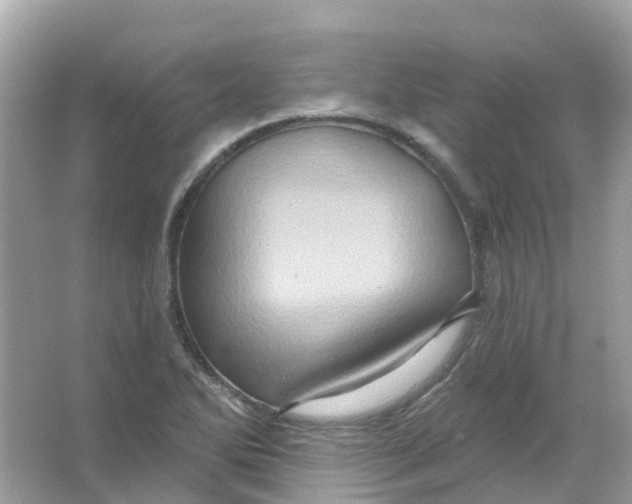 X0000065991270200603241956