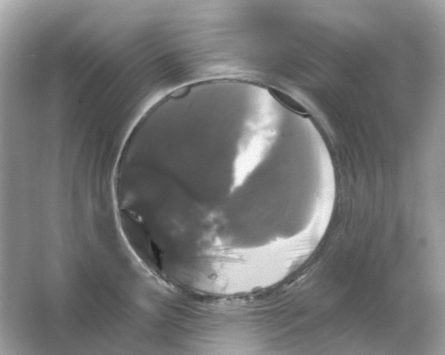 X0000065991291200603241956