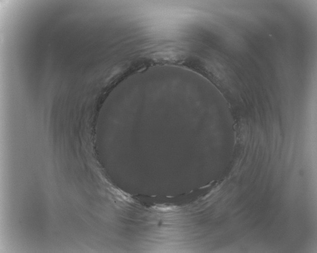 X0000065991297200603241955
