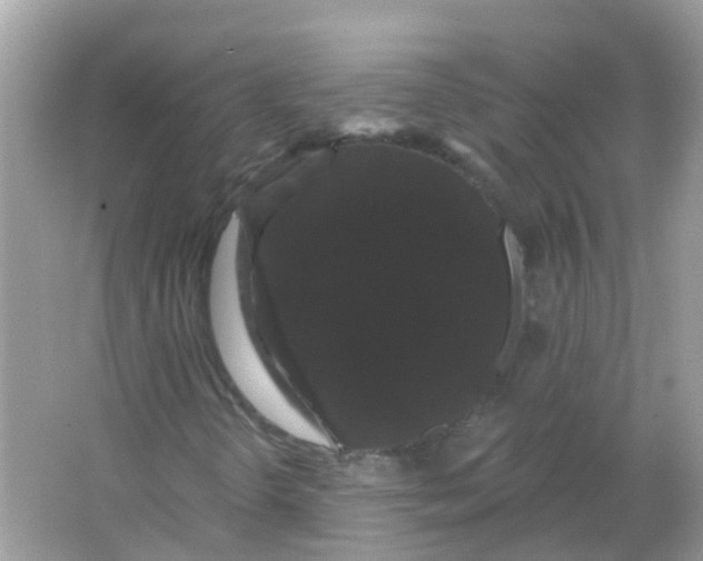 X0000065991298200603241955