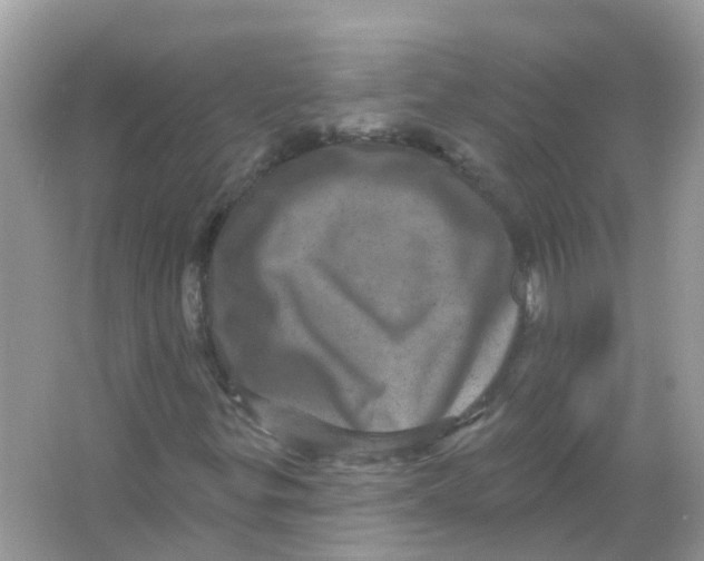 X0000065991299200603241955