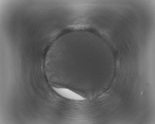 X0000065991300200603241955