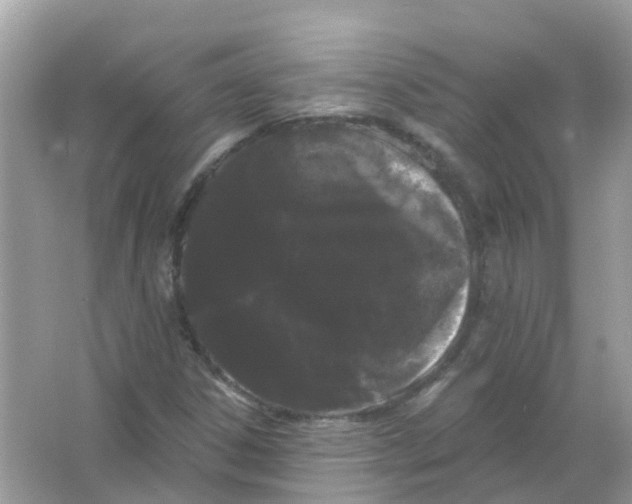 X0000065991306200603241955