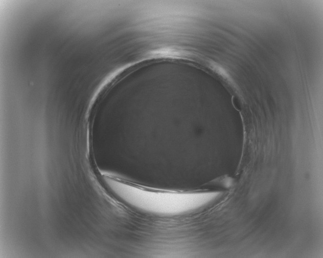 X0000065991323200603241955