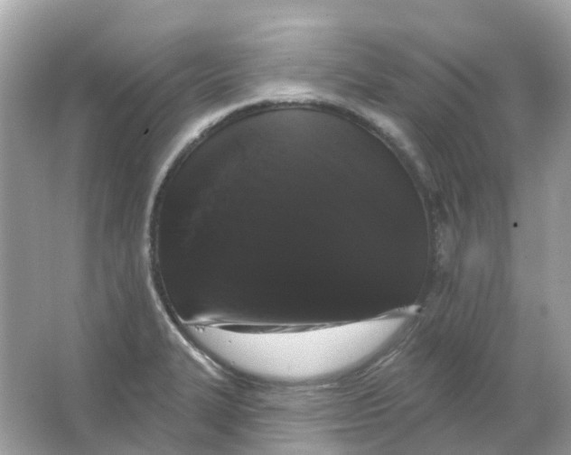 X0000065991327200603241955