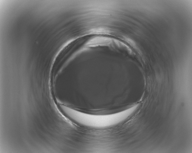 X0000065991331200603241955