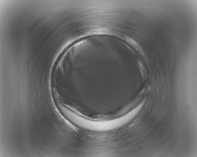 X0000065991334200603241955