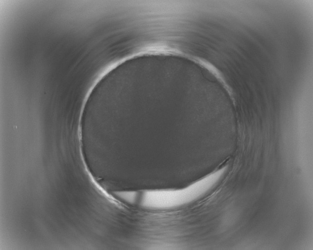 X0000065991335200603241955
