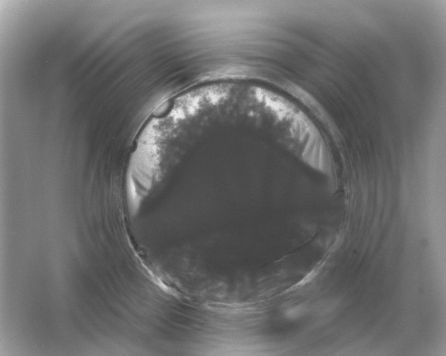 X0000065991337200603241955