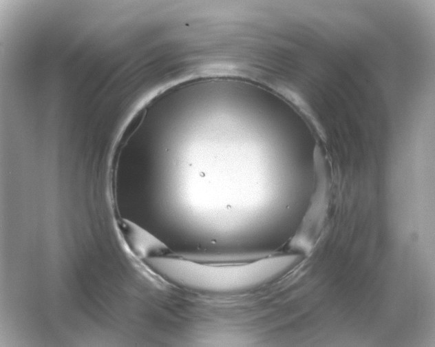 X0000065991342200603241955
