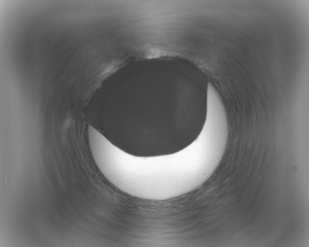 X0000065991348200603241955