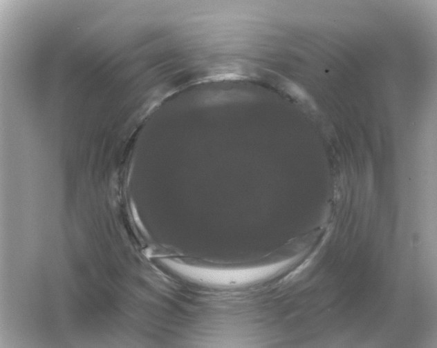 X0000065991353200603241955