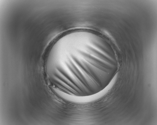X0000065991360200603241954