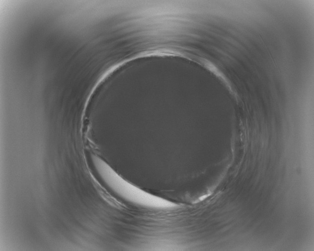 X0000065991372200603241954