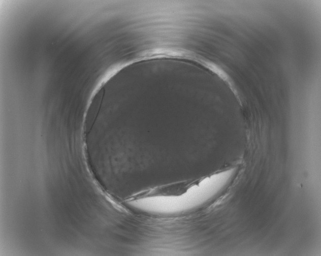 X0000065991373200603241954