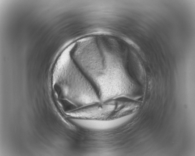 X0000065991375200603241954
