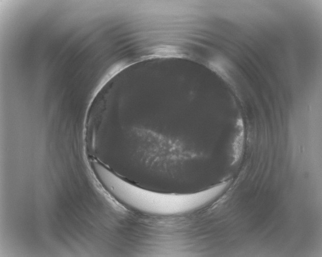 X0000065991378200603241954