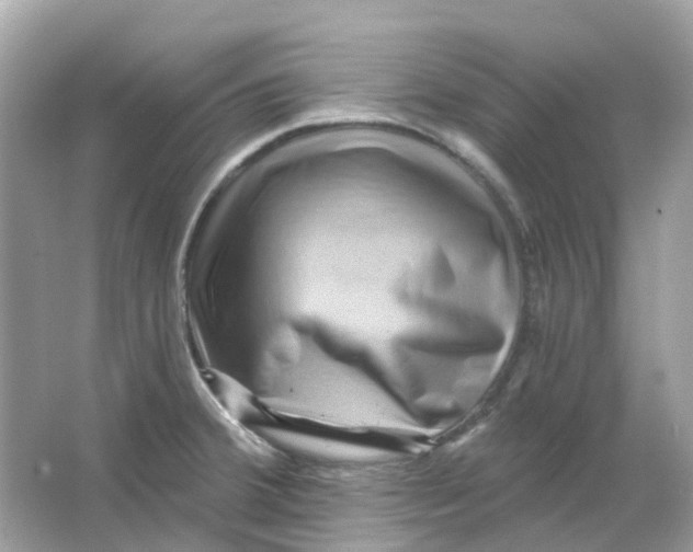 X0000065991380200603241954