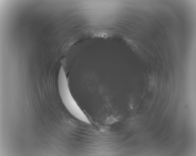 X0000065991394200603241953