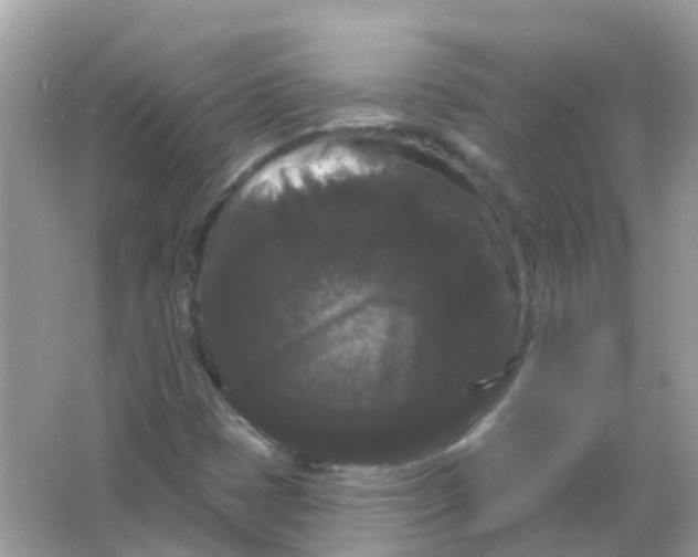 X0000065991401200603241953
