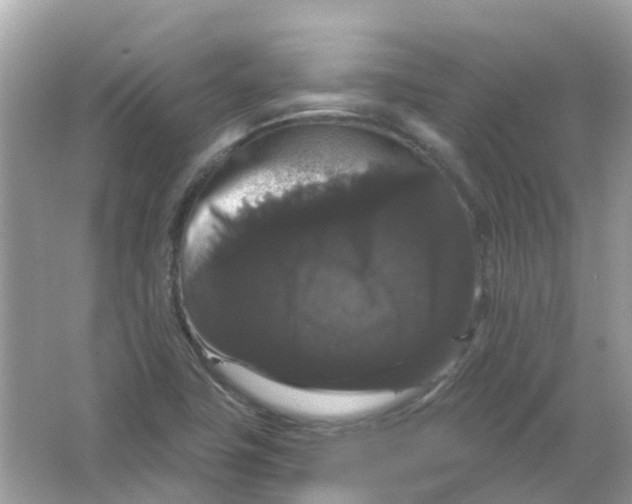 X0000065991411200603241953