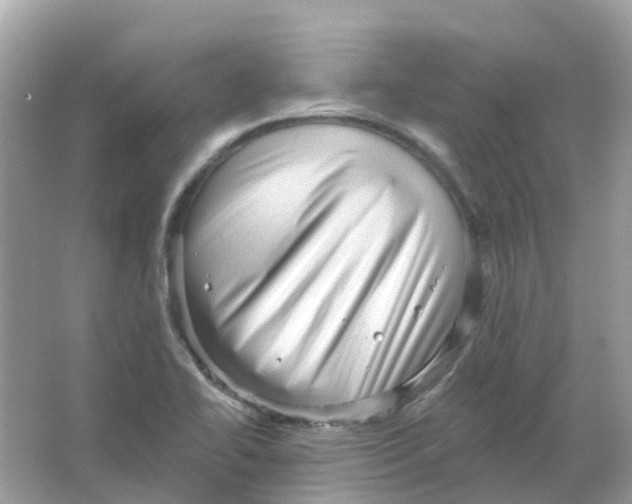 X0000065991414200603241953