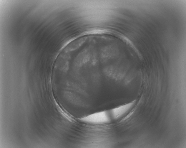 X0000065991417200603241953