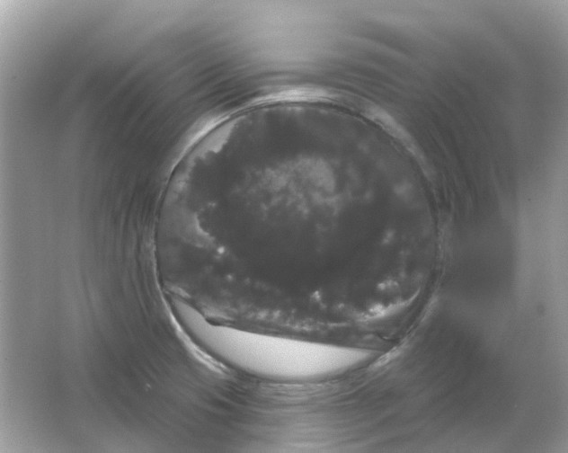 X0000065991425200603241954