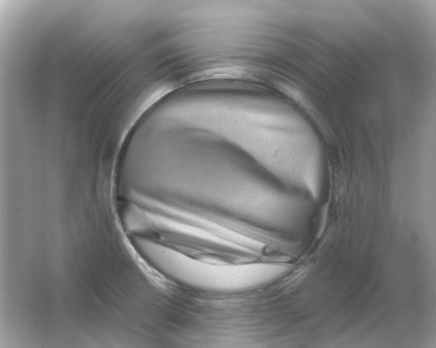 X0000065991426200603241954