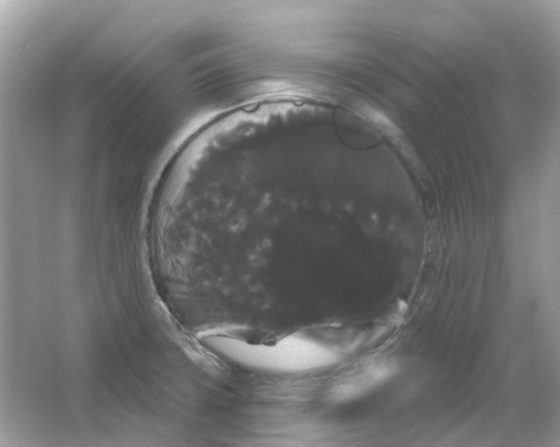 X0000065991427200603241954