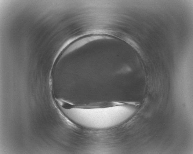 X0000065991428200603241954