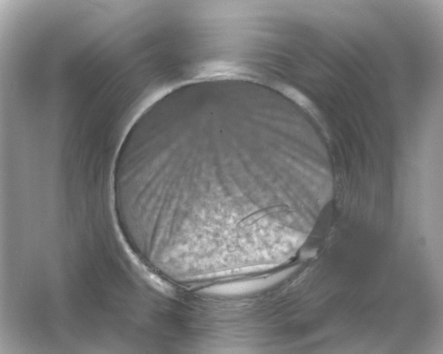 X0000065991431200603241954