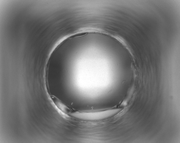X0000065991438200603241954
