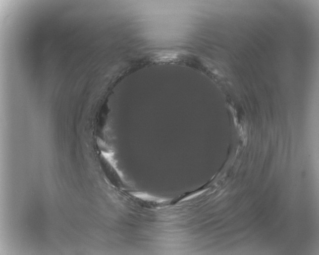 X0000065991441200603241953