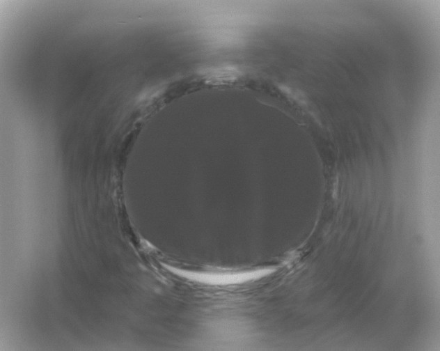 X0000065991445200603241953