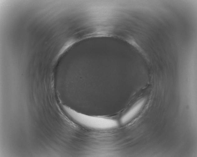 X0000065991450200603241953
