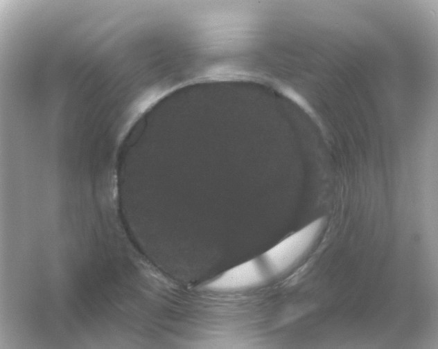 X0000065991461200603241953