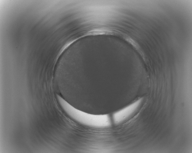 X0000065991465200603241953