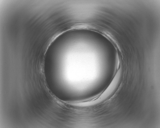 X0000065991481200603241952