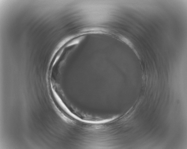 X0000065991482200603241952