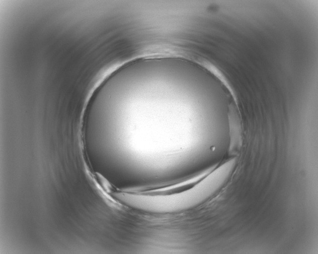 X0000065991485200603241952