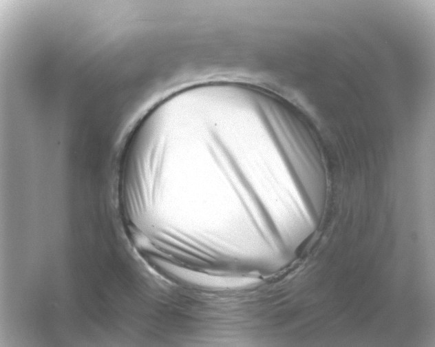 X0000065991504200603241952