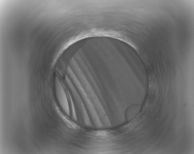 X0000065991507200603241952