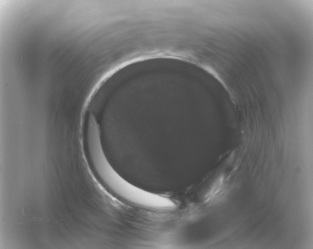 X0000065991508200603241952