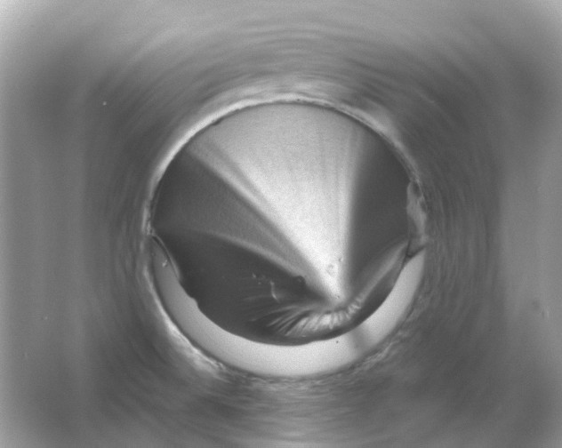 X0000065991524200603241952