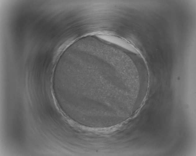X0000065990001200603311943