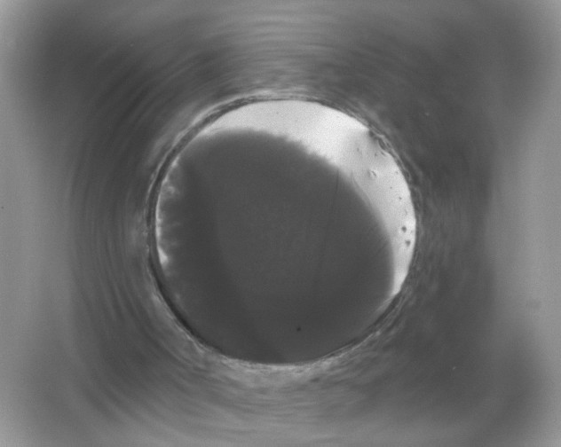 X0000065990002200603311943