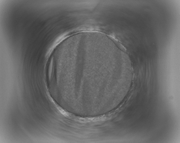 X0000065990005200603311943