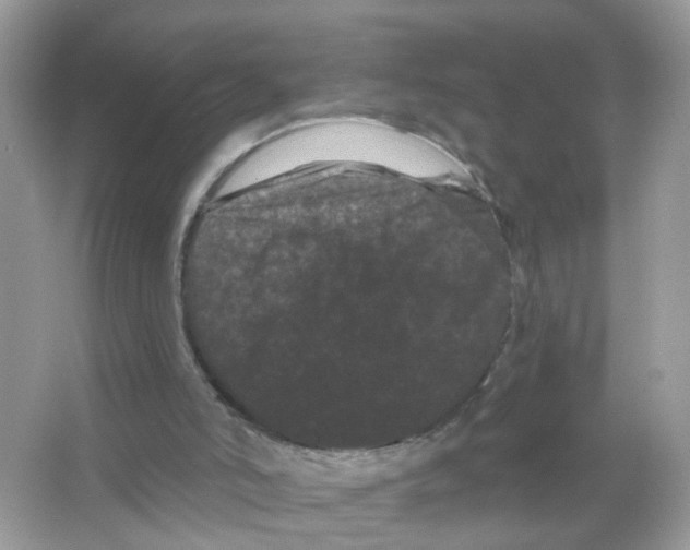 X0000065990006200603311943
